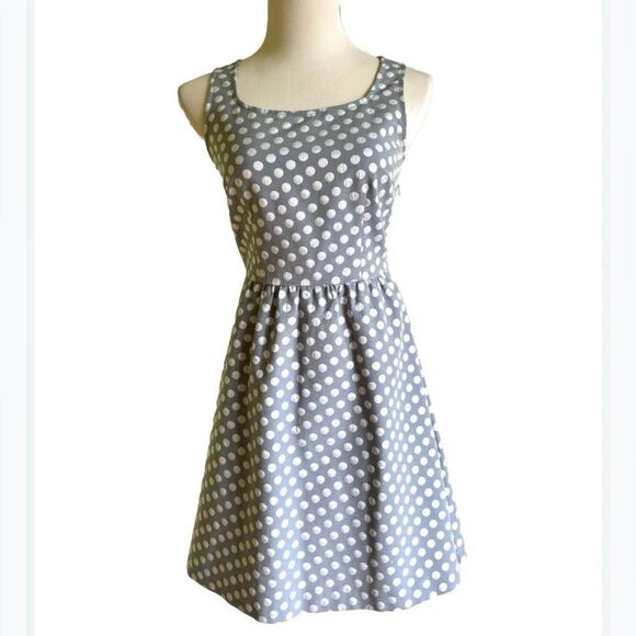 The Limited Polka Dot Sleeveless A-Line Dress - Picture 3 of 14
